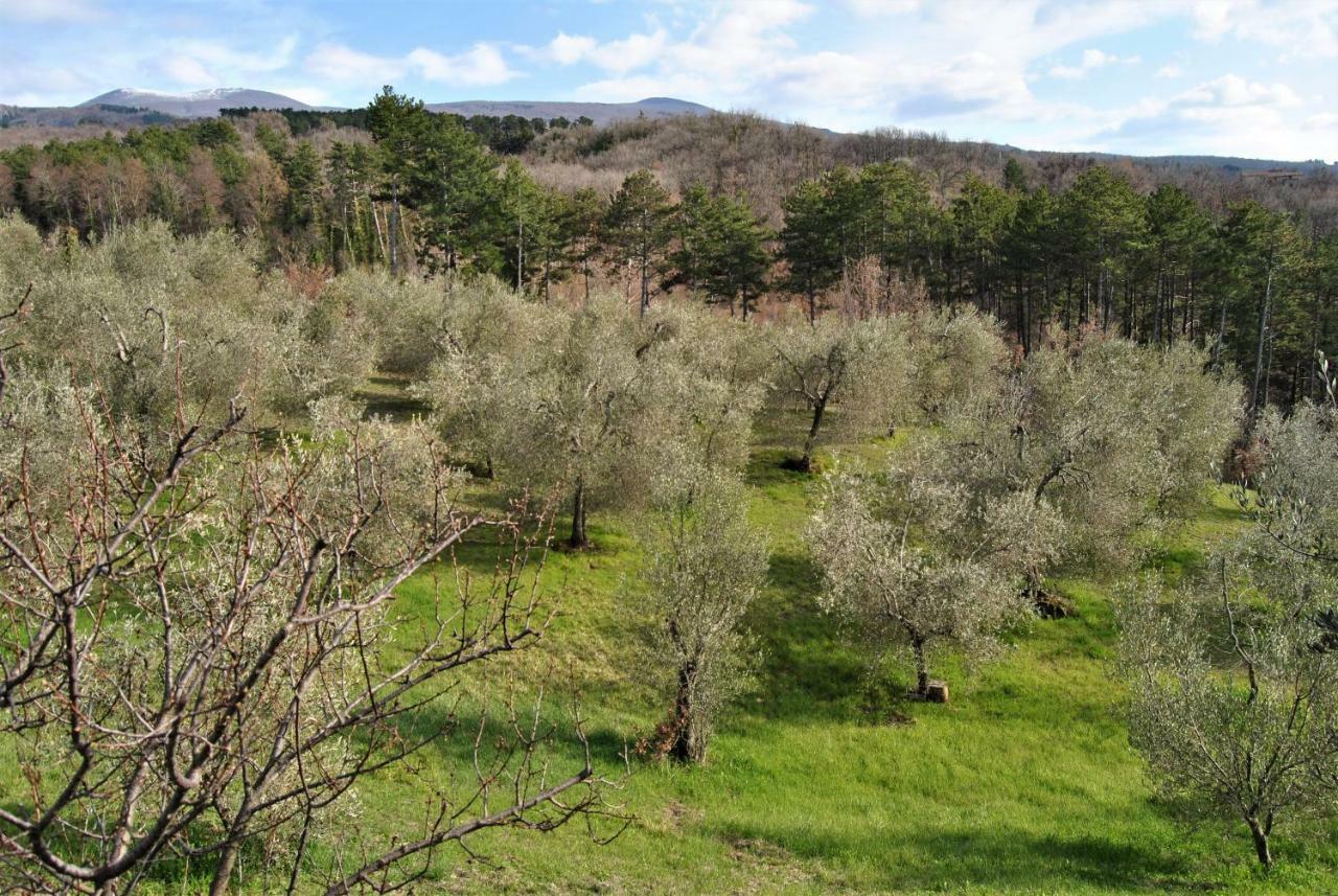 Casa Fioranna Villa Seggiano Luaran gambar
